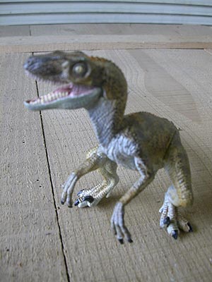 Velociraptor Modell