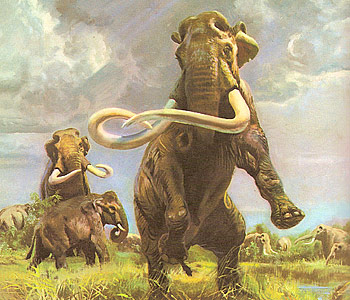 Mammut Burian